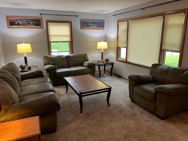 813 11th St N, Benson, MN 56215 - living area featuring carpet floors, healthy amount of natural light, and baseboards