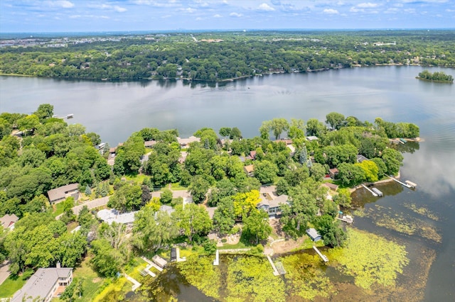 313 Maple Island Rd, Burnsville, MN 55306 - photo 9