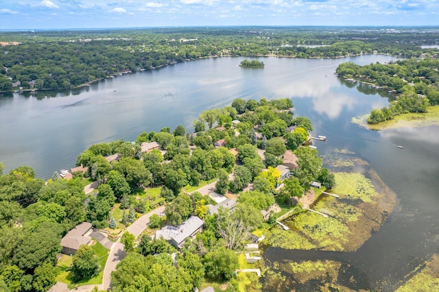 313 Maple Island Rd, Burnsville, MN 55306 - photo 47