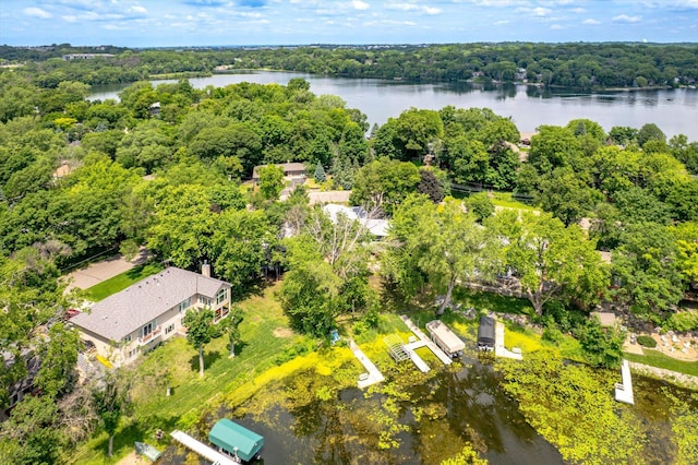 313 Maple Island Rd, Burnsville, MN 55306 - photo 51
