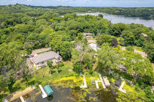 313 Maple Island Rd, Burnsville, MN 55306 - photo 52