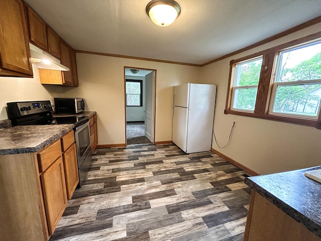 216 Main Ave S, New York Mills, MN 56567 - kitchen featuring stainless steel appliances, under cabinet range hood, dark countertops, plenty of natural light, and ornamental molding