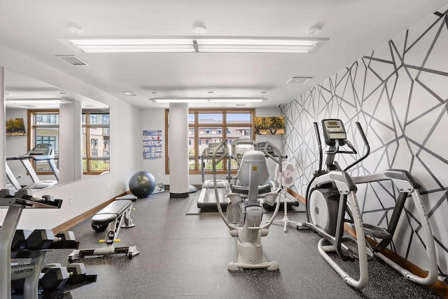 875 Lake St N Unit 315, Wayzata, MN 55391 - gym featuring plenty of natural light
