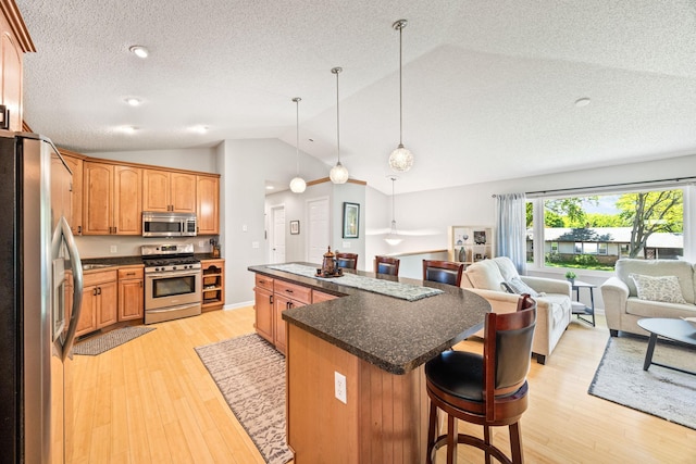 2445 Indian Way N, Saint Paul, MN 55109 - kitchen with appliances with stainless steel finishes, lofted ceiling, open floor plan, light wood-style flooring, and a textured ceiling