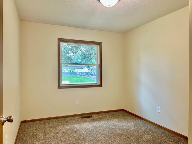 8212 15th Ave S, Bloomington, MN 55425 - carpeted empty room featuring baseboards and a textured ceiling