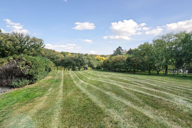 1150 Wyndmere Rd, Orono, MN 55391 - view of green lawn