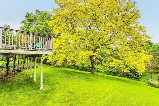 947 Dawn Ave, Shoreview, MN 55126 - view of grassy yard featuring a deck and stairs