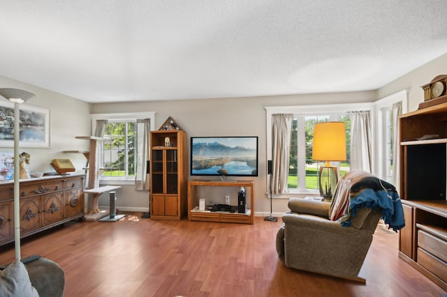 383 Elan Ct, Woodbury, MN 55125 - living area featuring wood finished floors, baseboards, and a textured ceiling