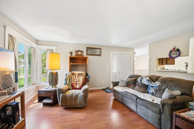 383 Elan Ct, Woodbury, MN 55125 - living room featuring wood finished floors and baseboards