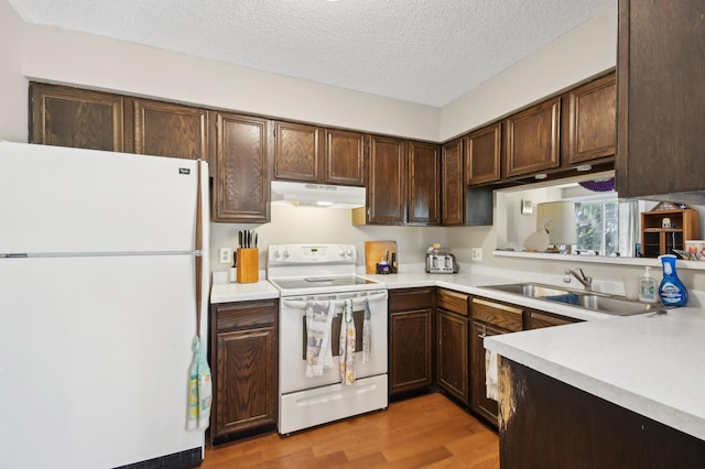 383 Elan Ct, Woodbury, MN 55125 - kitchen featuring white appliances, under cabinet range hood, a sink, light countertops, and light wood-type flooring