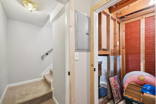 383 Elan Ct, Woodbury, MN 55125 - staircase featuring electric panel, baseboards, carpet flooring, and a textured ceiling