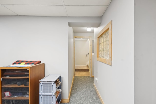 383 Elan Ct, Woodbury, MN 55125 - corridor with carpet, baseboards, and a drop ceiling
