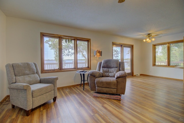 34347 Northview Rd, Everts Twp, MN 56515 - sitting room with a ceiling fan, healthy amount of natural light, light wood-style flooring, and a textured ceiling
