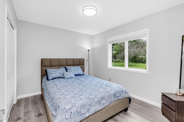 15710 Fox St NW, Andover, MN 55304 - bedroom featuring light wood finished floors, baseboards, and a closet