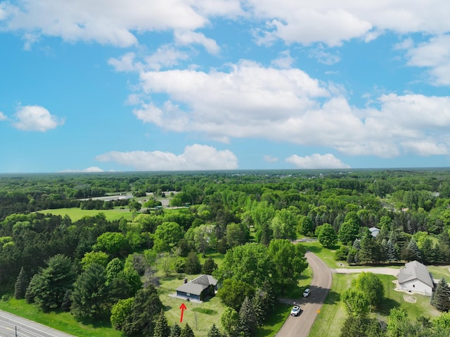 15710 Fox St NW, Andover, MN 55304 - bird's eye view of a forest