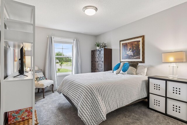8061 Abercrombie Ln, Woodbury, MN 55129 - bedroom with carpet and a textured ceiling