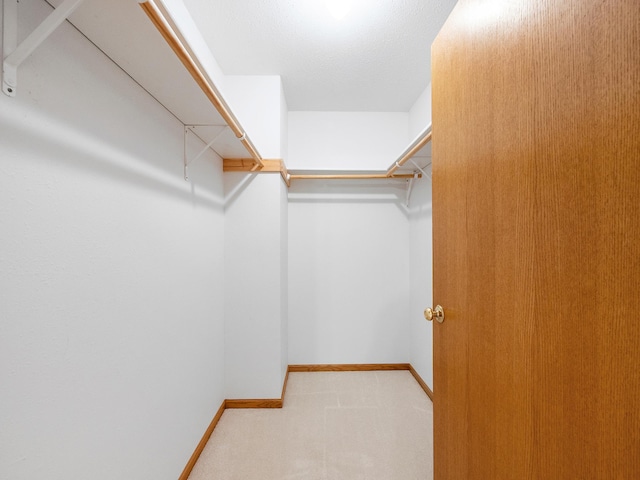 701 Janes Circle Dr SW, Alexandria, MN 56308 - spacious closet with carpet flooring
