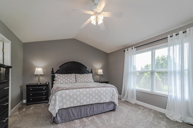 14315 Belle Ct, Rosemount, MN 55068 - photo 19