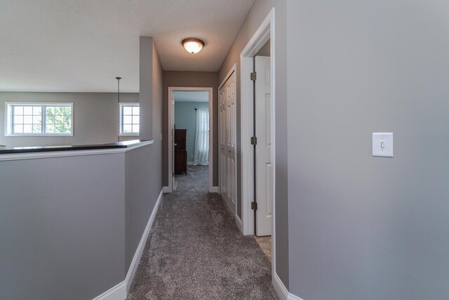14315 Belle Ct, Rosemount, MN 55068 - photo 28