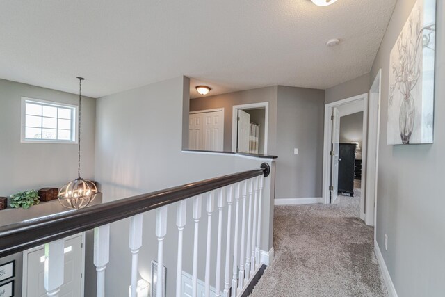 14315 Belle Ct, Rosemount, MN 55068 - photo 30