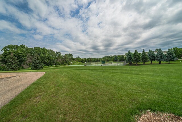 14315 Belle Ct, Rosemount, MN 55068 - photo 46