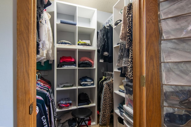 215 Park Dr Unit 4, Balsam Lake, WI 54810 - view of walk in closet