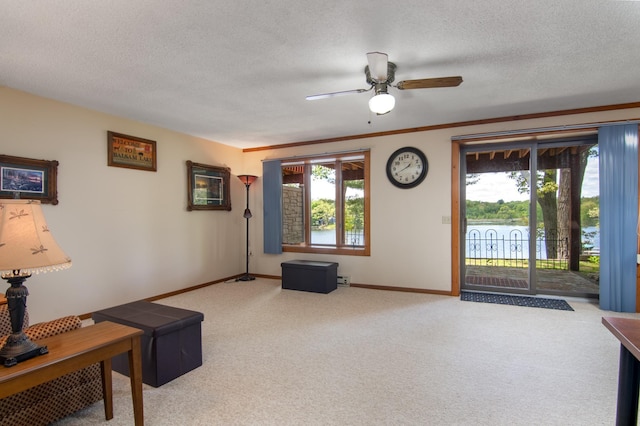 215 Park Dr Unit 4, Balsam Lake, WI 54810 - living area with healthy amount of natural light, carpet flooring, a textured ceiling, and baseboards