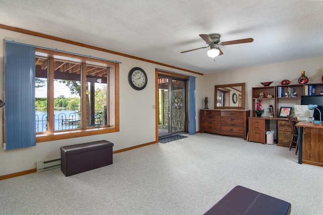 215 Park Dr Unit 4, Balsam Lake, WI 54810 - carpeted office with a ceiling fan, a baseboard heating unit, baseboards, and a textured ceiling
