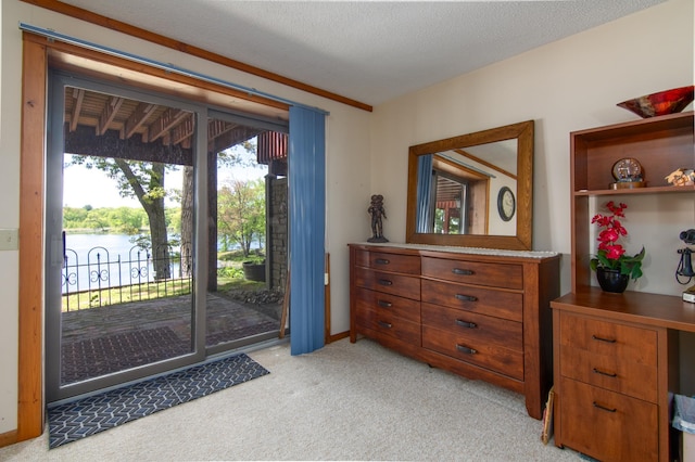 215 Park Dr Unit 4, Balsam Lake, WI 54810 - doorway featuring a water view and light colored carpet