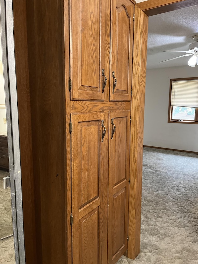 310 8th St, Windom, MN 56101 - detailed view of carpet floors, ceiling fan, a textured ceiling, and baseboards