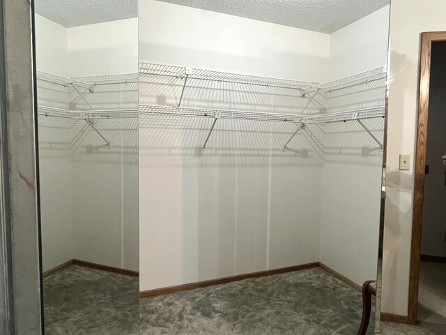 310 8th St, Windom, MN 56101 - spacious closet featuring carpet floors