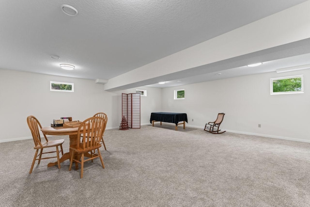 1719 Buckingham Path, Faribault, MN 55021 - dining area featuring carpet, baseboards, plenty of natural light, and a textured ceiling
