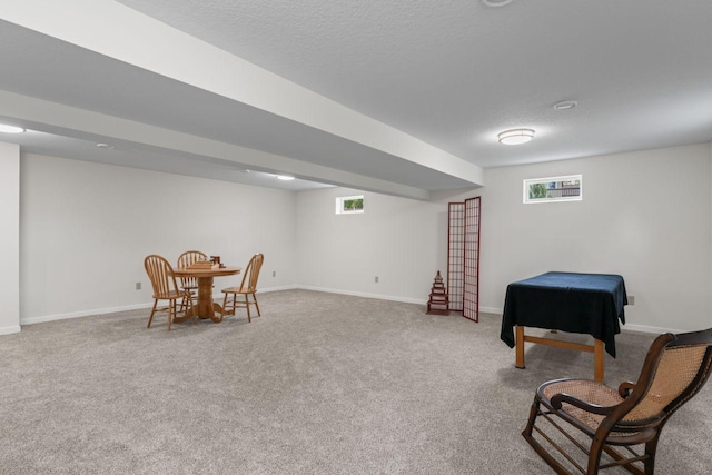 1719 Buckingham Path, Faribault, MN 55021 - rec room with carpet, baseboards, and a textured ceiling