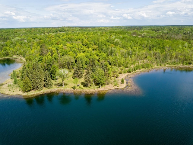 6583 Graves Lake Dr NE, Slater Twp, MN 56672