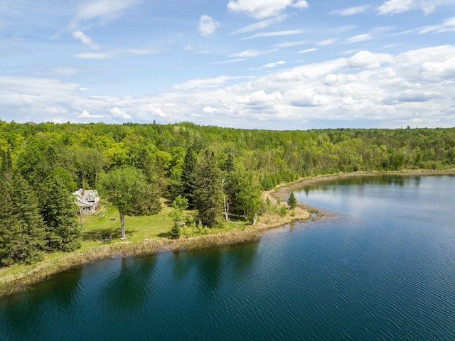 6583 Graves Lake Dr NE, Slater Twp, MN 56672
