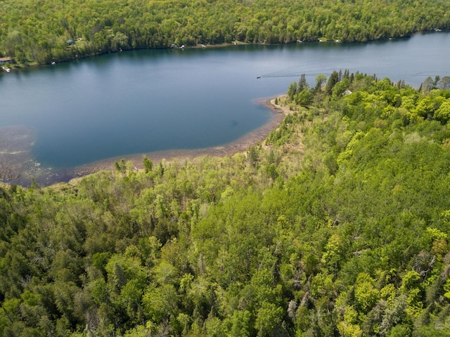 6583 Graves Lake Dr NE, Slater Twp, MN 56672