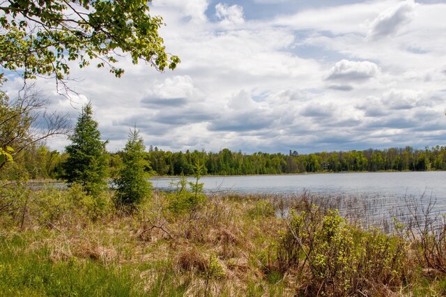 6583 Graves Lake Dr NE, Slater Twp, MN 56672