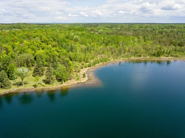 6583 Graves Lake Dr NE, Slater Twp, MN 56672