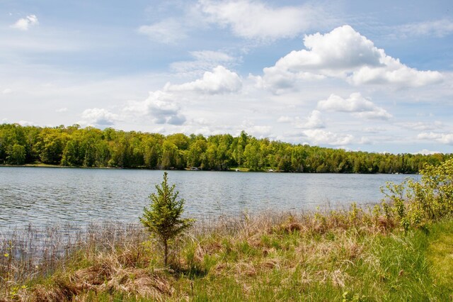 6583 Graves Lake Dr NE, Slater Twp, MN 56672