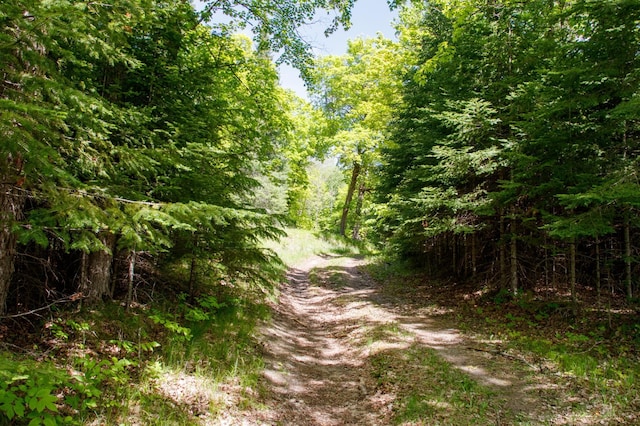 6583 Graves Lake Dr NE, Slater Twp, MN 56672