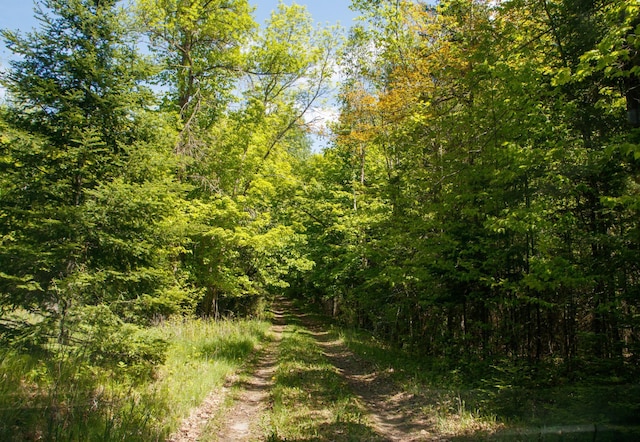 6583 Graves Lake Dr NE, Slater Twp, MN 56672