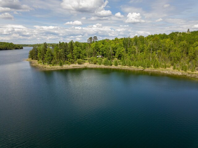 6583 Graves Lake Dr NE, Slater Twp, MN 56672