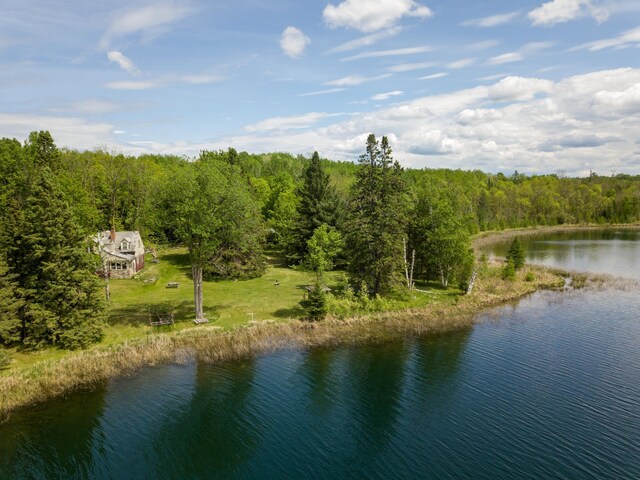 6583 Graves Lake Dr NE, Slater Twp, MN 56672