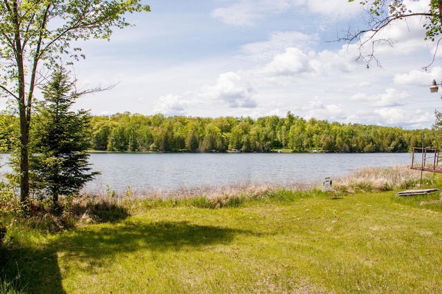 6583 Graves Lake Dr NE, Slater Twp, MN 56672