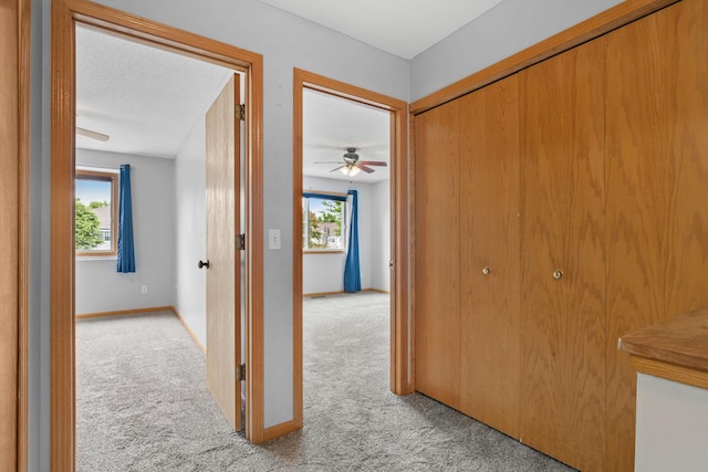 11427 Elmwood Ave N, Champlin, MN 55316 - hall with carpet floors and baseboards