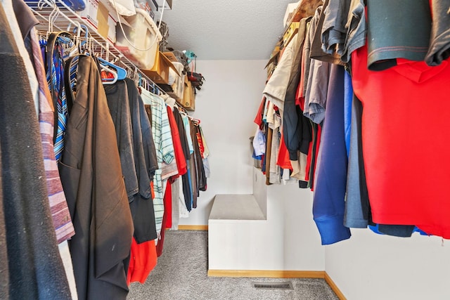 11427 Elmwood Ave N, Champlin, MN 55316 - walk in closet featuring carpet flooring