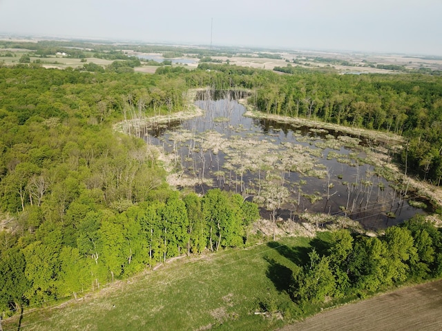 TBD 290th St, Oakland Twp, MN 56589