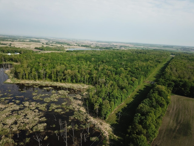 TBD 290th St, Oakland Twp, MN 56589