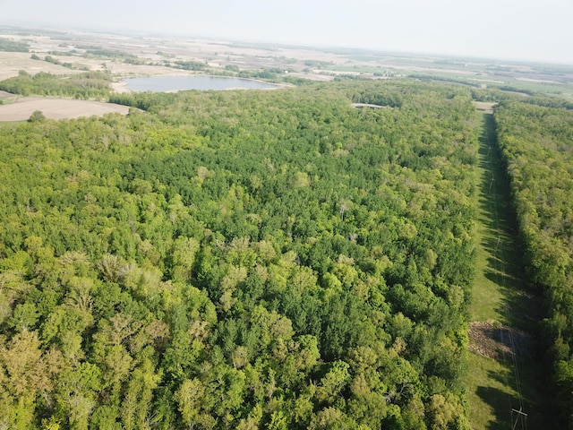 TBD 290th St, Oakland Twp, MN 56589