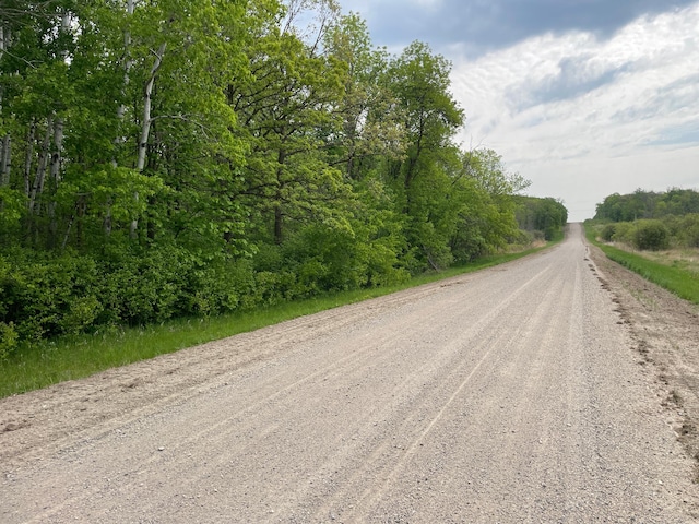TBD 290th St, Oakland Twp, MN 56589